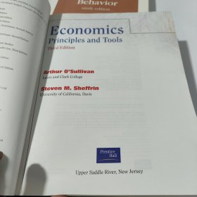 ECONOMICS PRINCIPLES AND TOOLS 经济学原理和工具，包邮