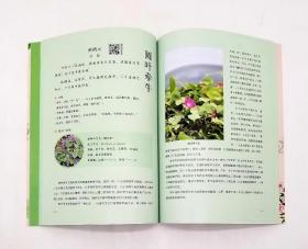 《写给孩子的古典文学植物图鉴》，16开，全三册，铜版彩印，孙海等著，海燕出版社2020年版，定价88元。《写给孩子的古典文学植物图鉴》（全三册）是写给5~12岁孩子的植物启蒙书，一套三册，分为诗经篇、唐诗篇和宋词篇。作者把古典文学与植物科普结合在一起，以生动平实的语言，详细科普那些来自《诗经》、唐诗和宋词里的中国乡土植物，不仅还原了几千年来文人笔下的植物原貌，还挖掘出与植物相关的历史典故。