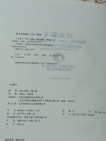 让大象飞:激进创新，让你一飞冲天的创业术