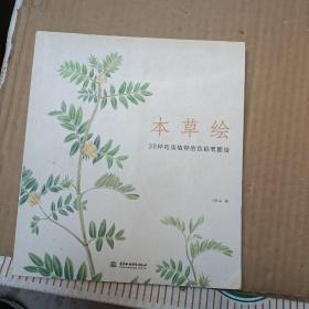 本草绘：38种药用植物的色铅笔图绘