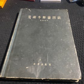 云南牛肝菌圖志 畫冊