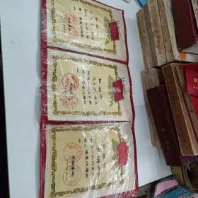奖状证明书