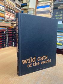 wild cats of the world(世界野猫)英文版 精装本