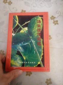 汤头技巧记忆