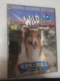 哈拉狗与酷猫