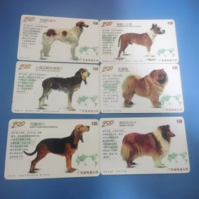 广东200D0146一套六张名犬