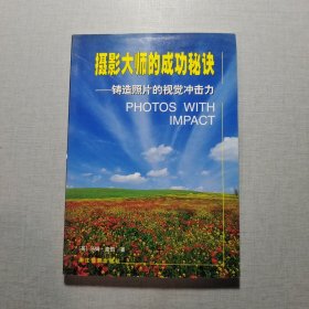 摄影大师的成功秘诀：铸造照片的视觉冲击力