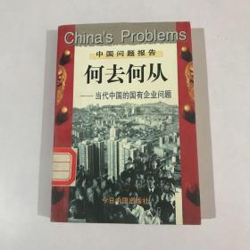 何去何从：当代中国的国有企业问题