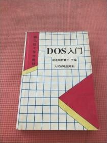 D0S入门