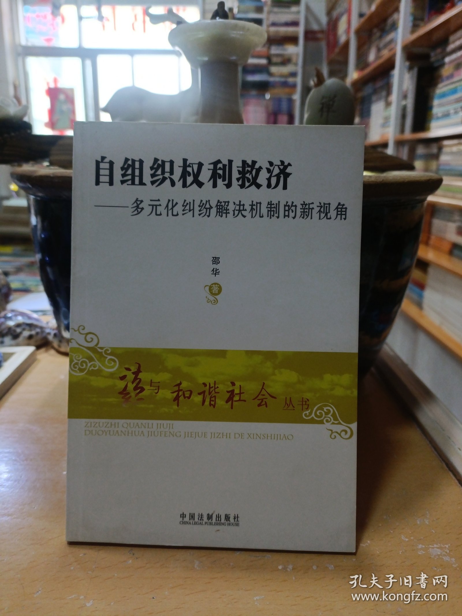 自组织权利救济：多元化纠纷解决机制的新视角