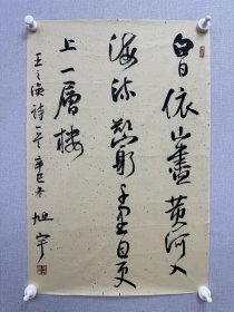 旭宇，男，汉族，学名许玉堂，号白阳，伯阳，字京东，1939年出生，河北玉田人，一级作家、编审，享受政府特殊津贴。中国书法家协会第四、五届副主席，现任中国书法家协会顾问，中国散文诗学会副主席，河北省文联名誉主席，河北省书法家协会第三、四、五届主席，现任名誉主席，中国楷书艺术研究院院长，河北省政协文史馆名誉馆长，河北省政府参事等职。