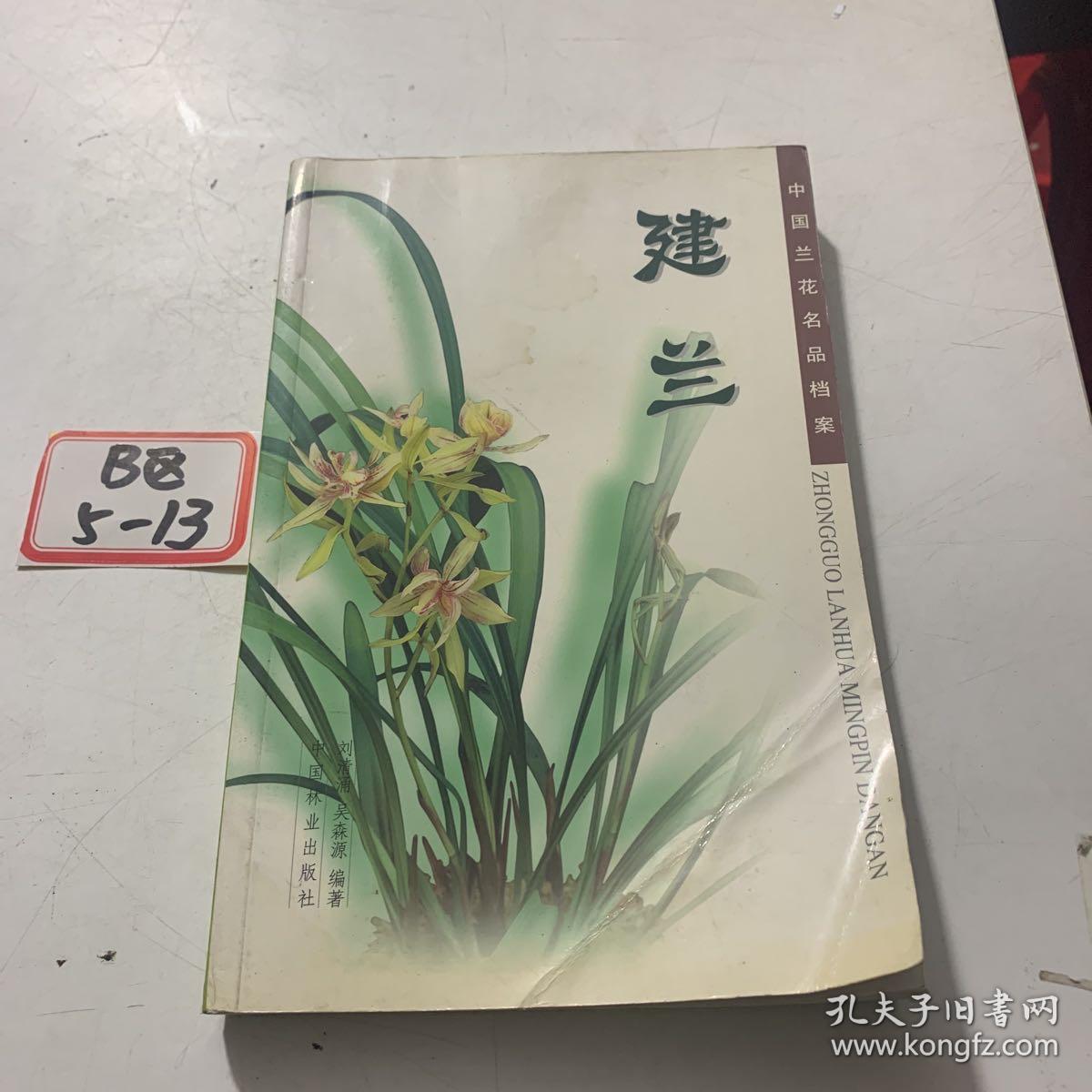 中国兰花名品档案：建兰