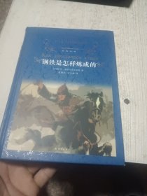 钢铁是怎样炼成的（新版）/经典译林
