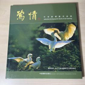 鹭情，叶学龄摄影作品选