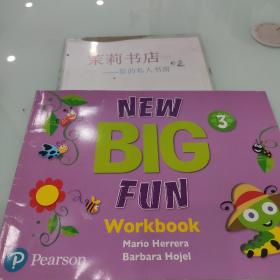 NEW BIG FUN 3