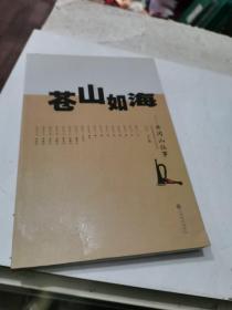 苍山如海——井冈山往事