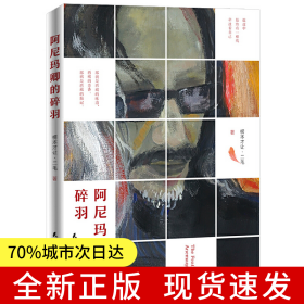 阿尼玛卿的碎羽