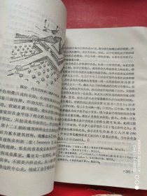 人类早期文明的“木乃伊”-------古埃及文化求实