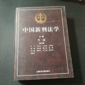 中国新刑法学