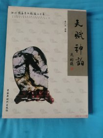 天賦神韻：淄博隆泰奇石館藏品薈萃（精裝帶盒裝）