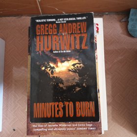 MINUTES TO BURN
