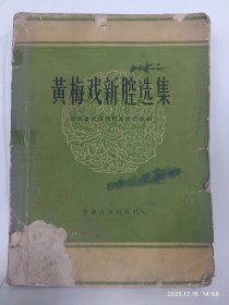 黄梅戏新腔选举普通图书/国学古籍/社会文化97800000000000