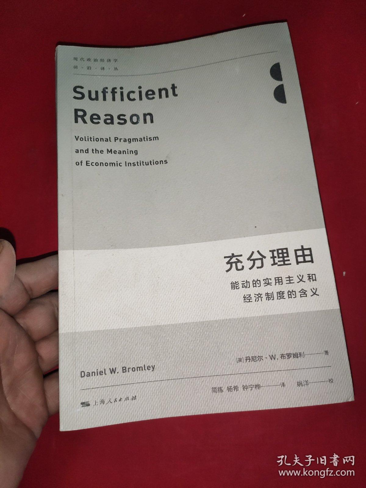 现代政治经济学·前沿译丛·充分理由：能动的实用主义和经济制度的含义