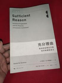 现代政治经济学·前沿译丛·充分理由：能动的实用主义和经济制度的含义