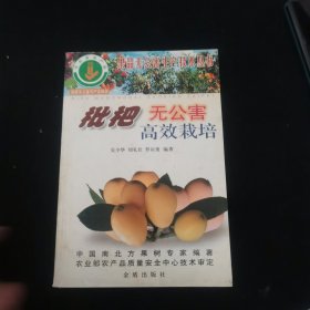 枇杷无公害高效栽培/果品无公害生产技术丛书