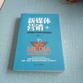 新媒体营销 ：互联网时代的娱乐营销解密