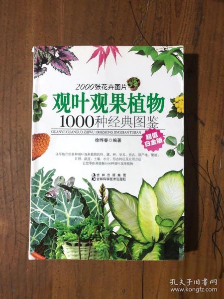 观叶观果植物1000种经典图鉴（超值白金版）