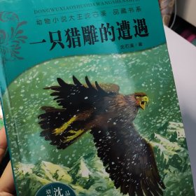 动物小说大王沈石溪·品藏书系·一只猎雕的遭遇