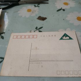1984年邮资片(没用过