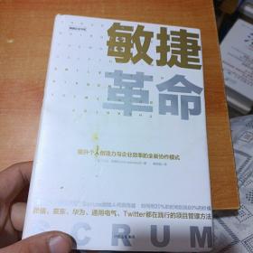 敏捷革命:提升个人创造力与企业效率的全新协作模式