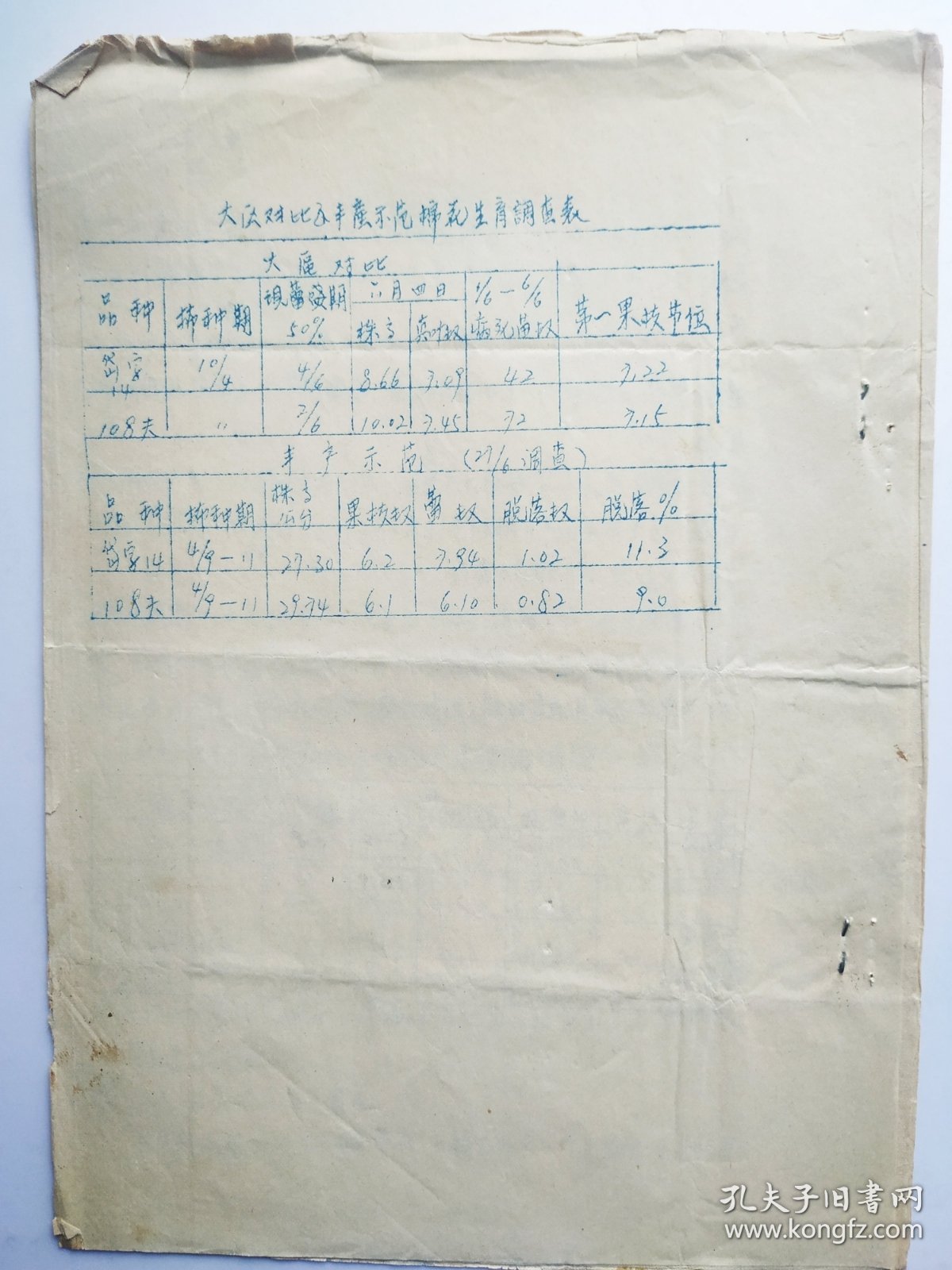棉花丰产示范工作汇报