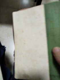 秋海棠