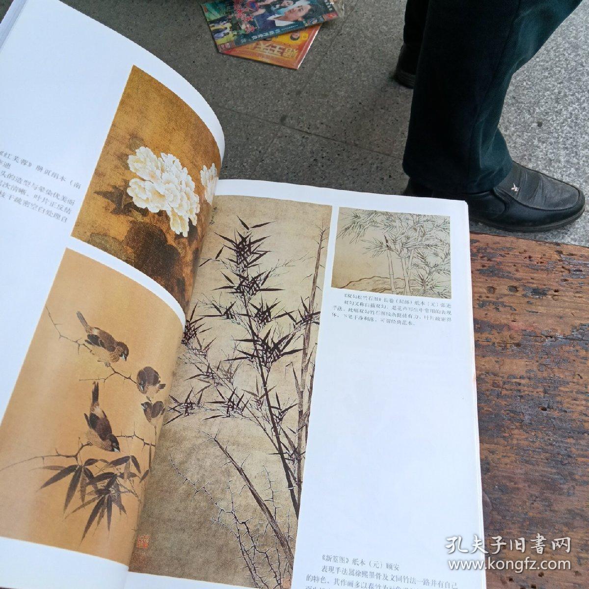 中国美术院校教材：从写生走向创作·花鸟画