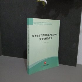 领导干部自然资源资产离任审计实务与操作指引