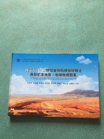 内蒙古自治区铁铝金铜钨锑铅锌稀土典型矿床地质-地球物理图集