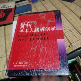 骨科手术入路解剖学