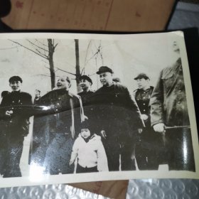 老照片 带底版 （1981年视察兖州林业）