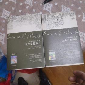 追寻逝去的时光第一卷去斯万家那边丶第二卷在少女花影下(共2册)