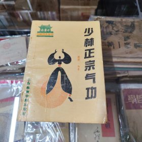 少林正宗气功