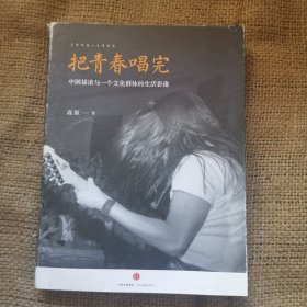 把青春唱完：中国摇滚与一个文化群体的生活影像