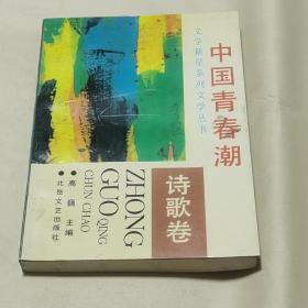 中国青春潮：文学新星系列文学丛书