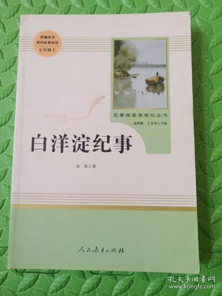 白洋淀纪事 名著阅读课程化丛书（统编语文教材配套阅读）七年级上