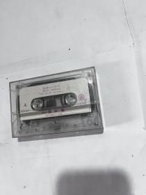磁带 摘石榴