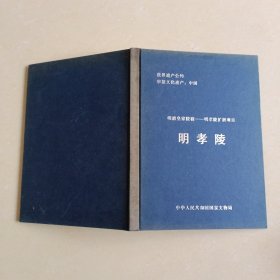 明清皇家陵寝——明孝陵扩展项目 明孝陵