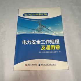 电力安全标准汇编. 电力安全工作规程及通用卷