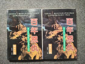 百年恩仇:两个东亚大国现代化比较的丙子报告上下册